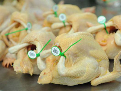 指定屠宰点检疫，白条禽“捆绑”溯源码保障食品健康