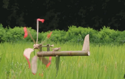自动驱鸟机|防止稻谷被鸟吃
