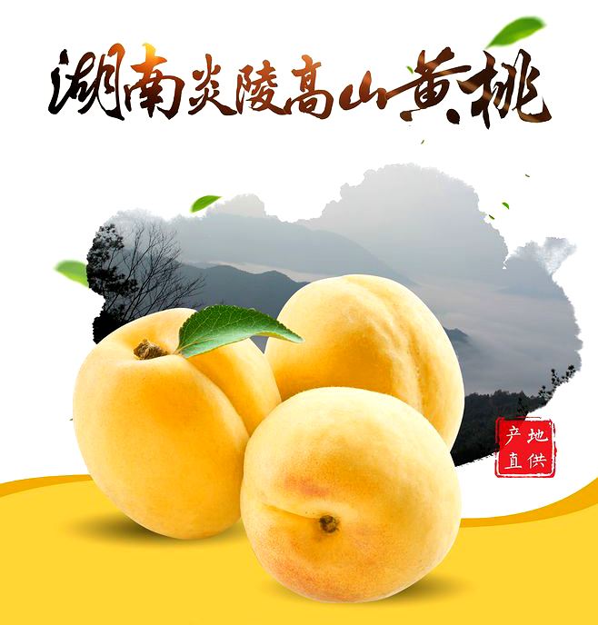 湖南地标品牌农产品-炎陵黄桃