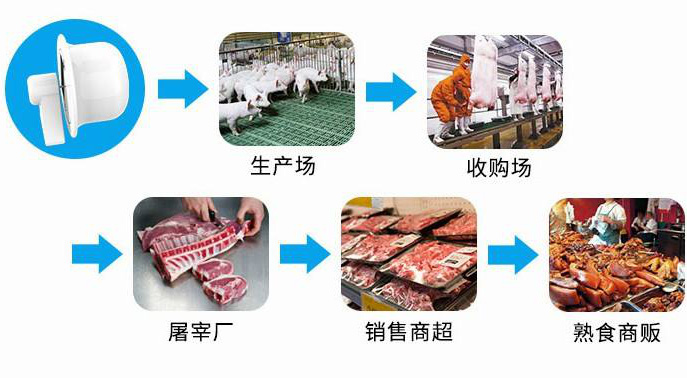 猪肉质量追溯全流程图