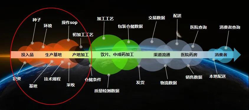 中药全流程追溯信息示意图