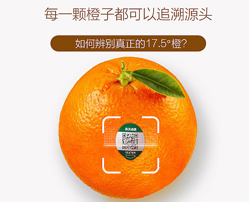 农夫山泉17.5°橙,每一颗橙子都可追溯源头